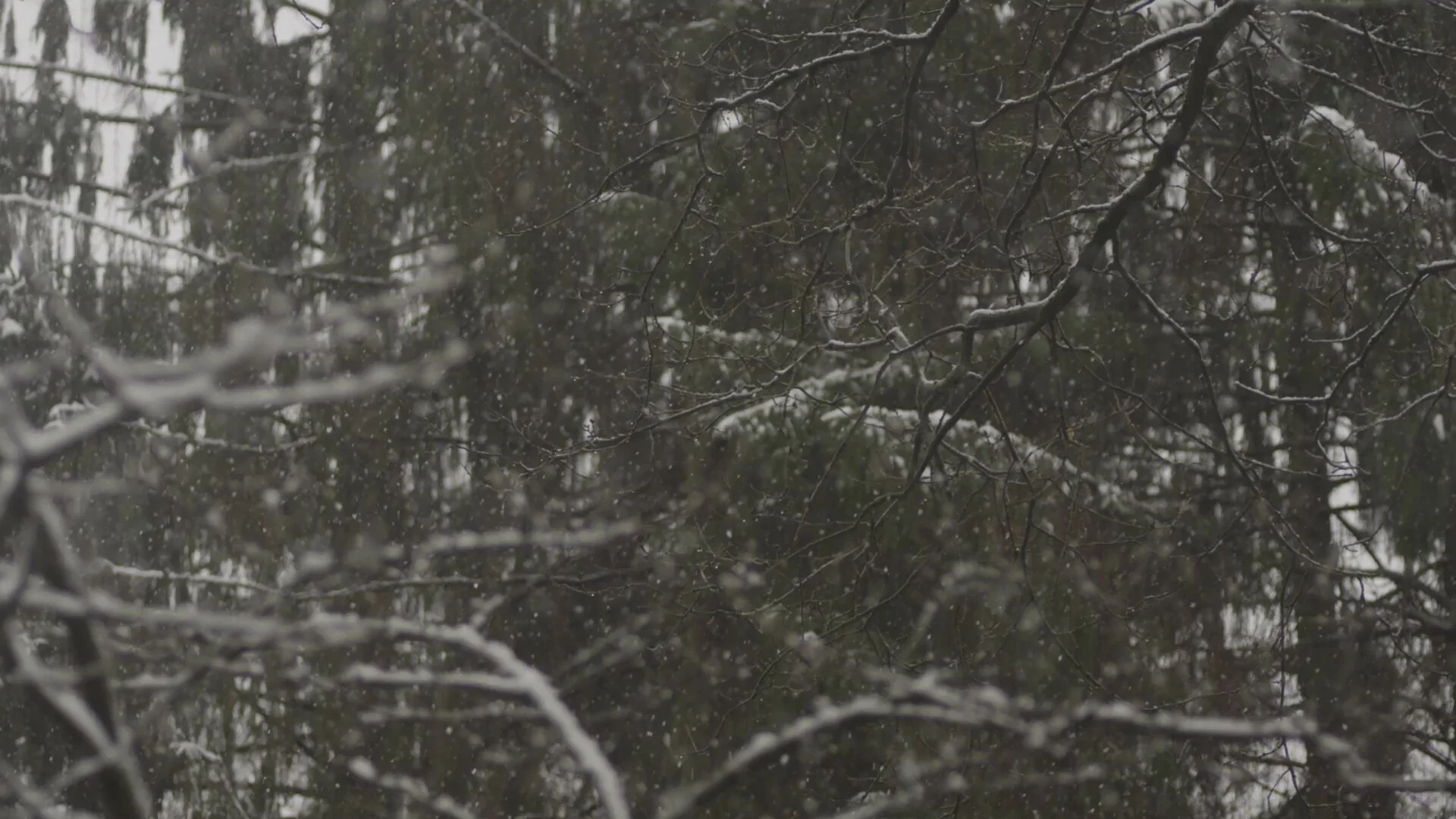 Window-Snow.jpg