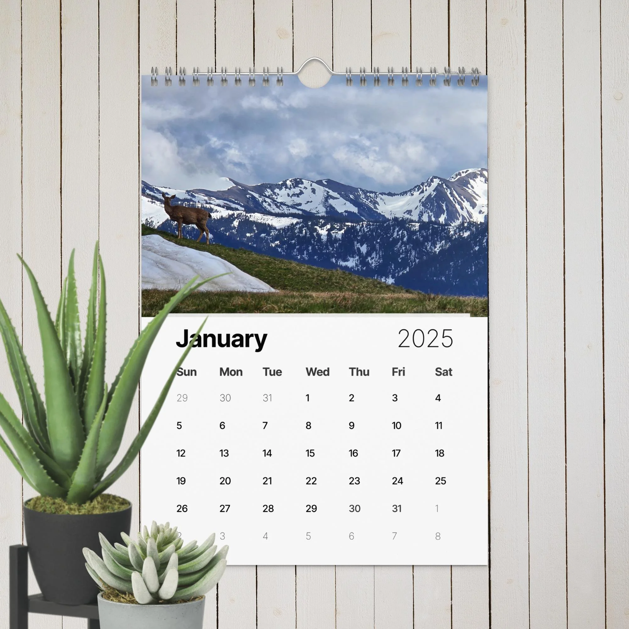 wall-calendar-(2025)-start-w-sun-8.26x11.69-front-67411e20e98a7.jpg