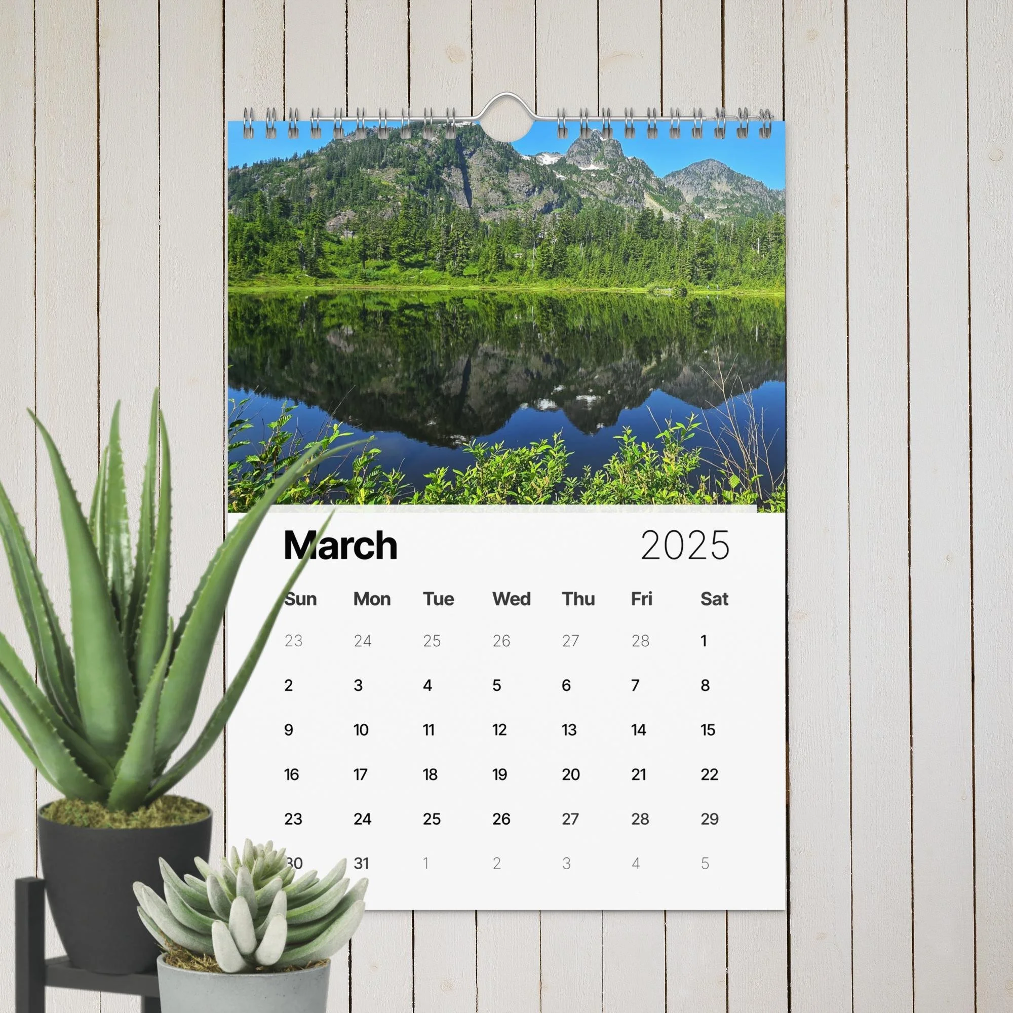 wall-calendar-(2025)-start-w-sun-8.26x11.69-front-67411e20eba98.jpg