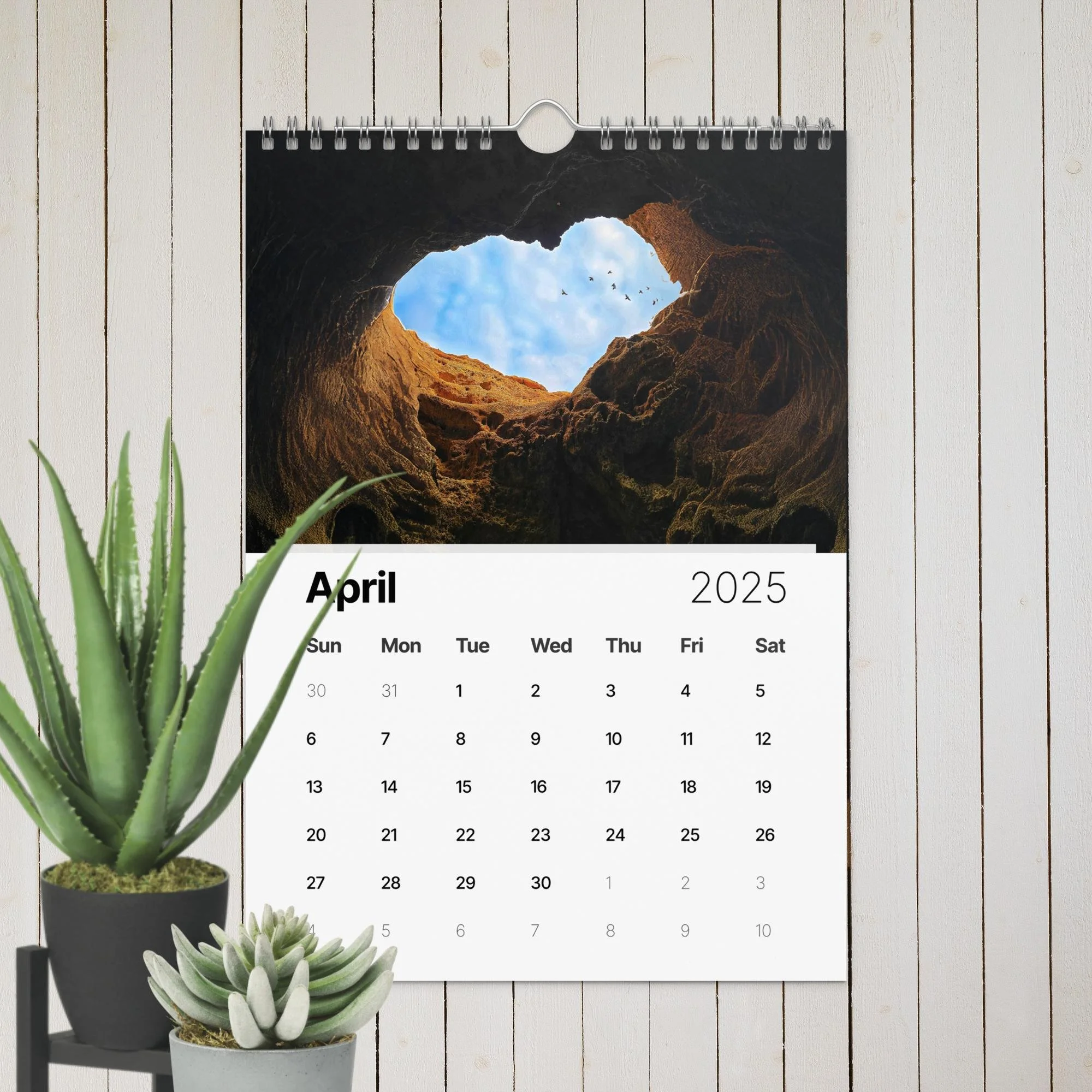 wall-calendar-(2025)-start-w-sun-8.26x11.69-front-67411e20eca64.jpg