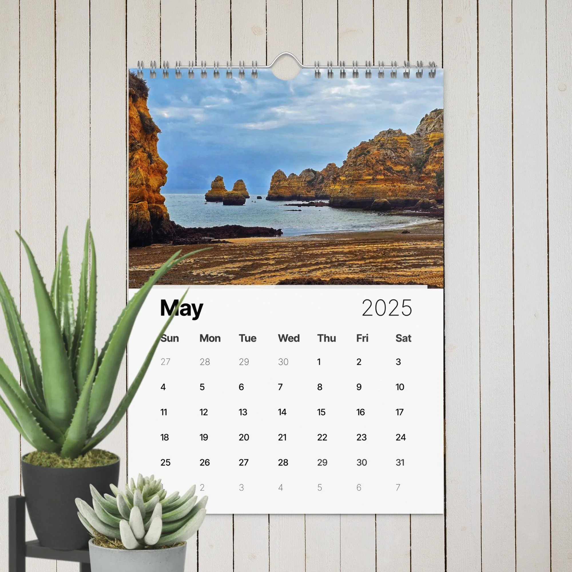 wall-calendar-(2025)-start-w-sun-8.26x11.69-front-67411e20eda7e.jpg
