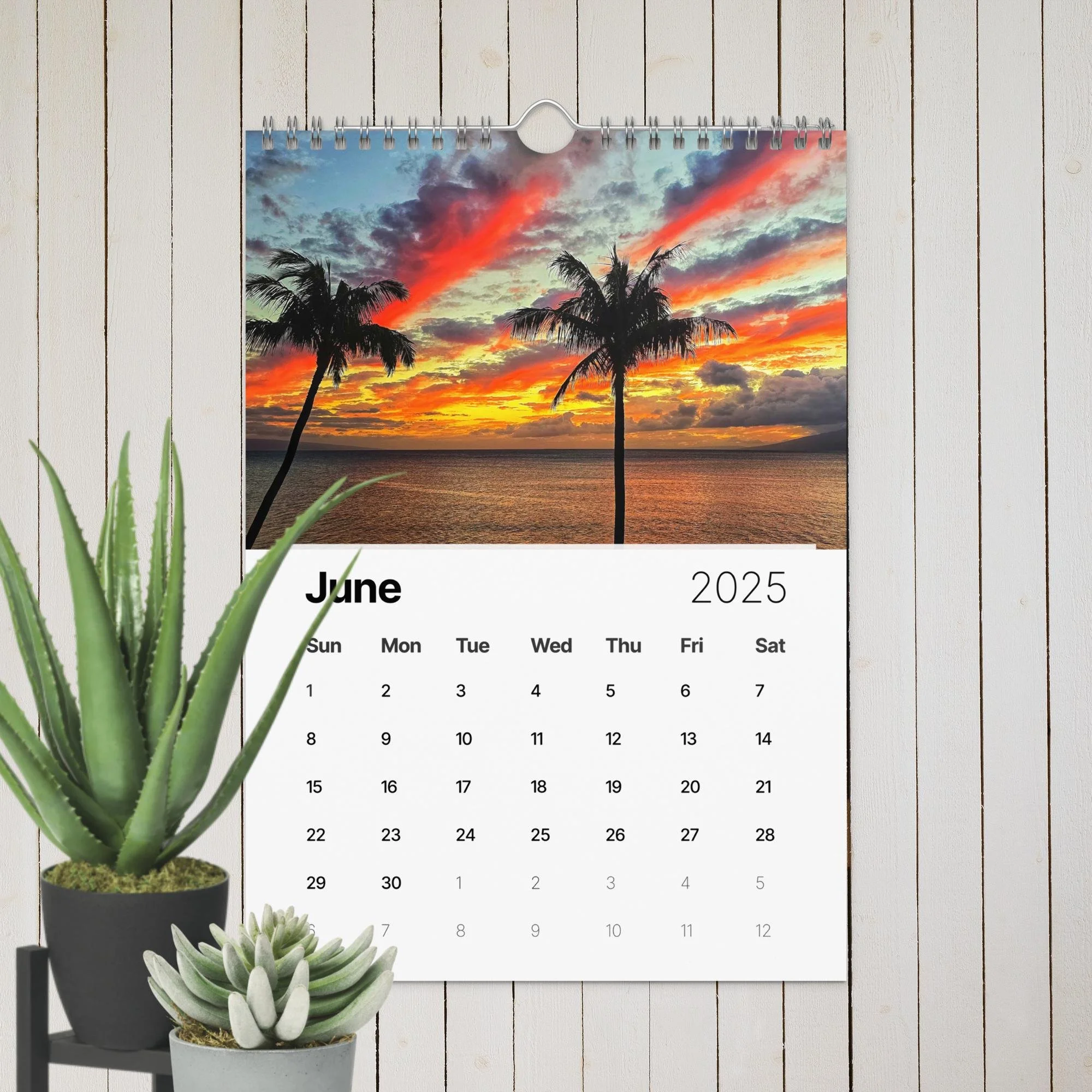 wall-calendar-(2025)-start-w-sun-8.26x11.69-front-67411e20eec2f.jpg