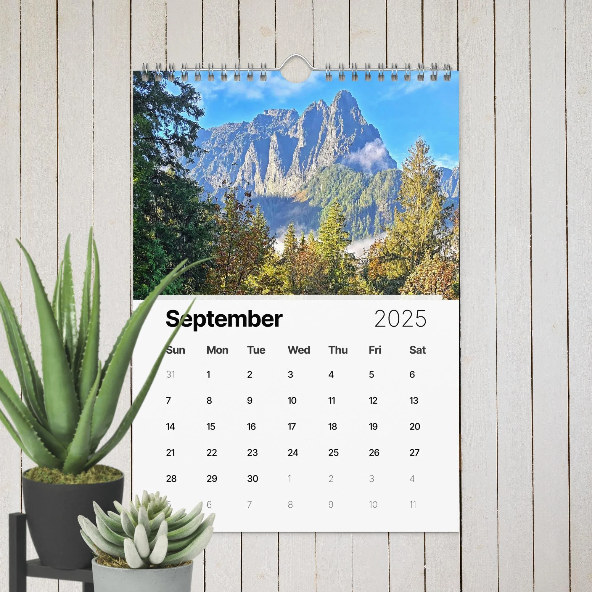 wall-calendar-(2025)-start-w-sun-8.26x11.69-front-67411e20f24a8.jpg