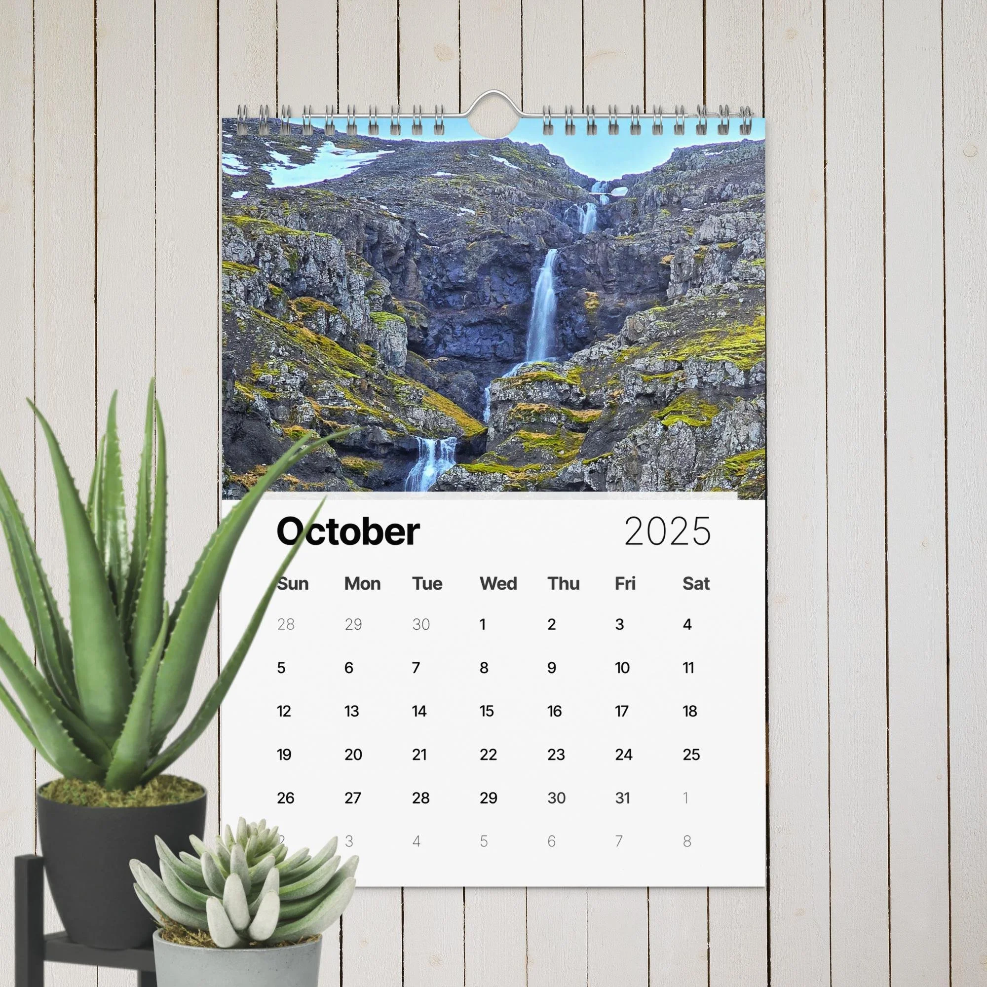 wall-calendar-(2025)-start-w-sun-8.26x11.69-front-67411e20f3d51.jpg
