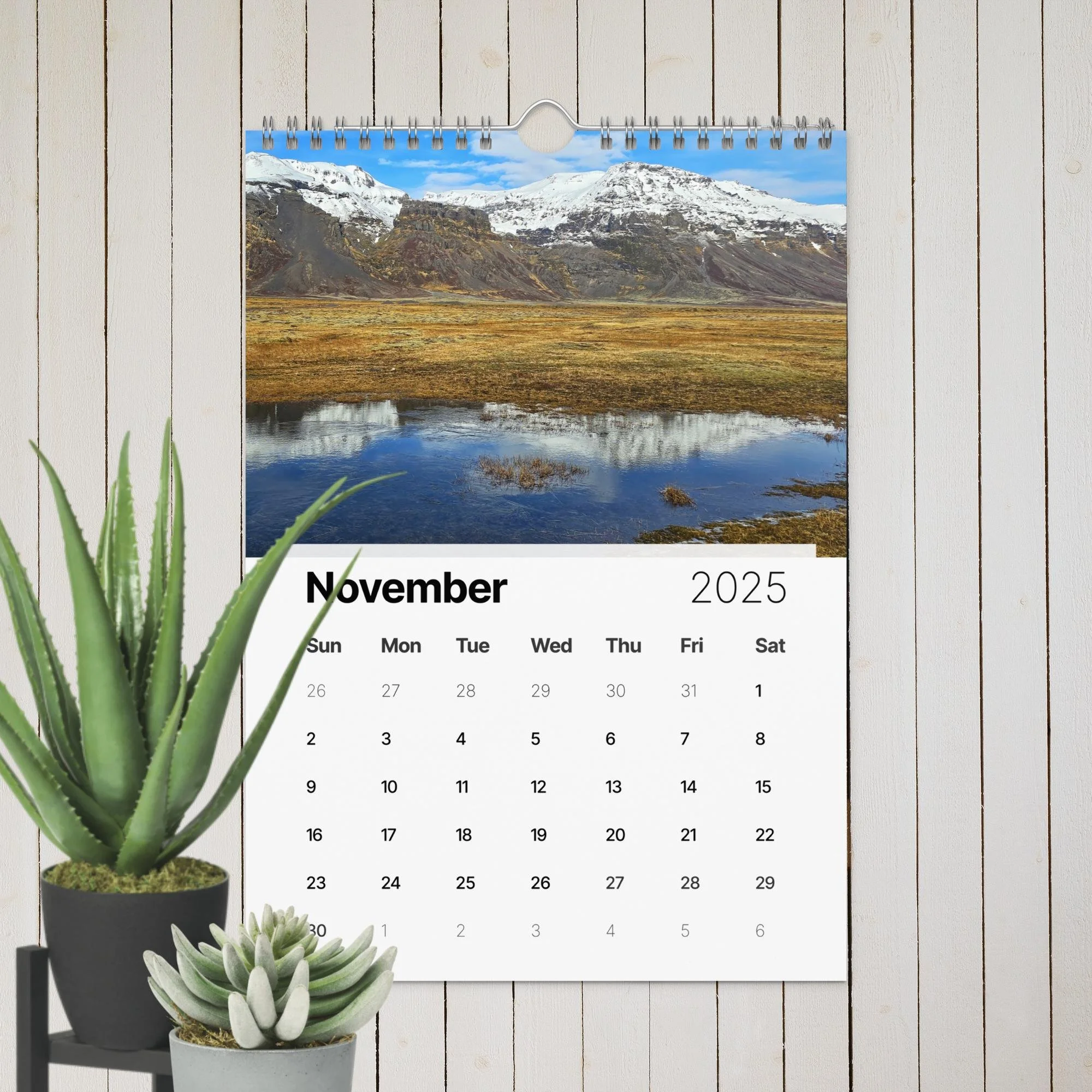 wall-calendar-(2025)-start-w-sun-8.26x11.69-front-67411e2101209.jpg