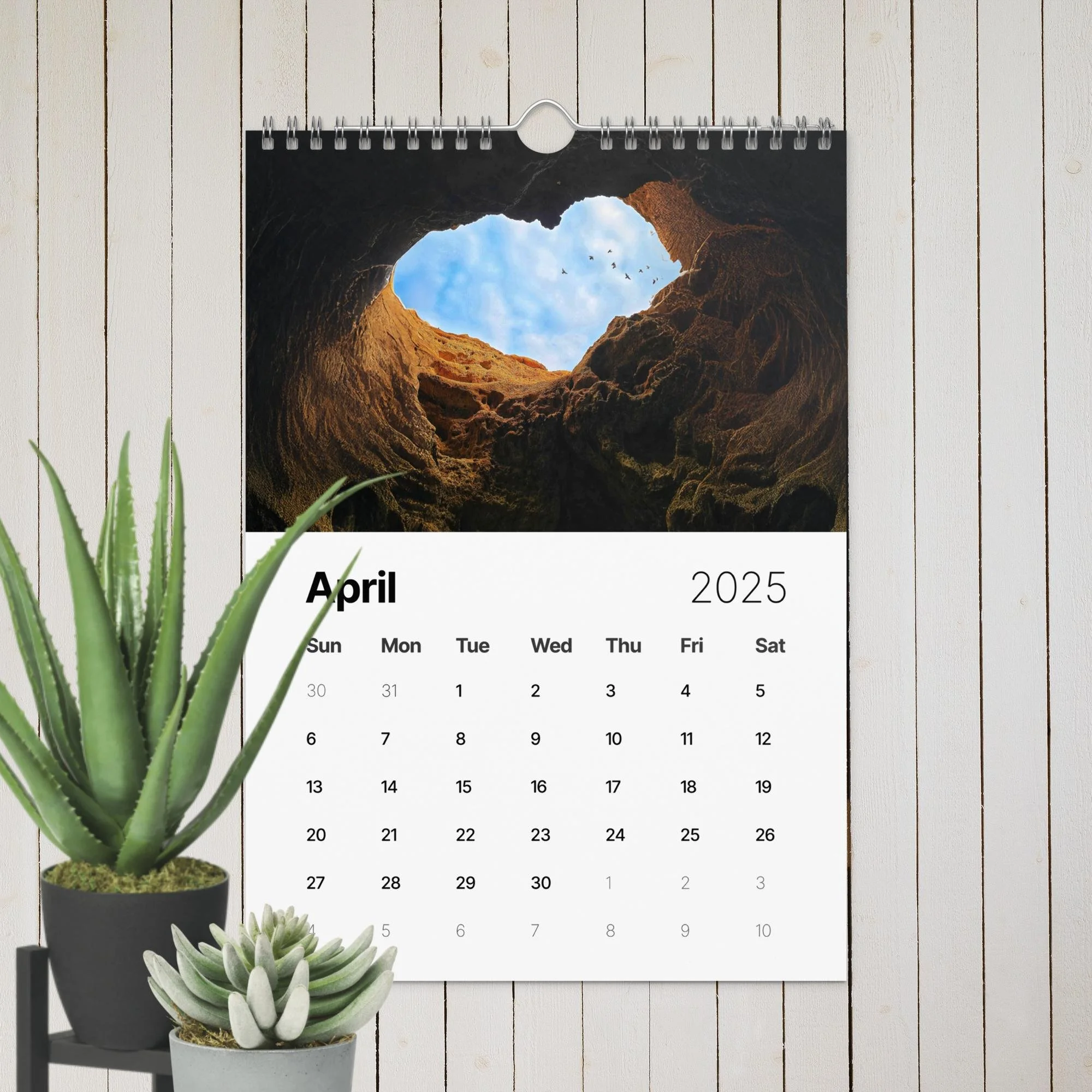 wall-calendar-(2025)-start-w-sun-8.26x11.69-front-67411f4e37b32.jpg