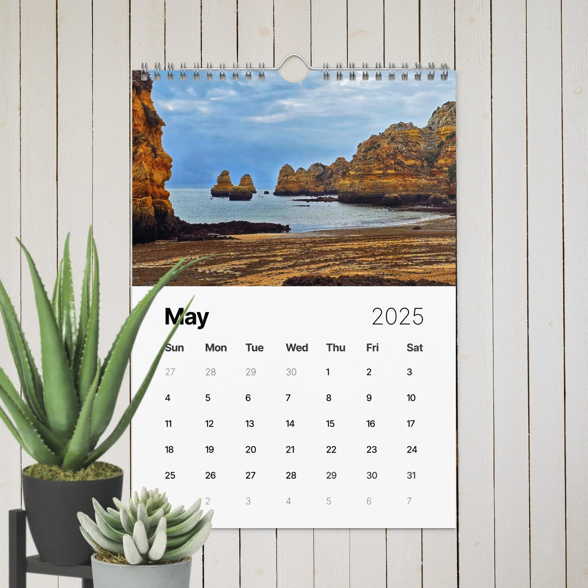 wall-calendar-(2025)-start-w-sun-8.26x11.69-front-67411f4e38ab6.jpg