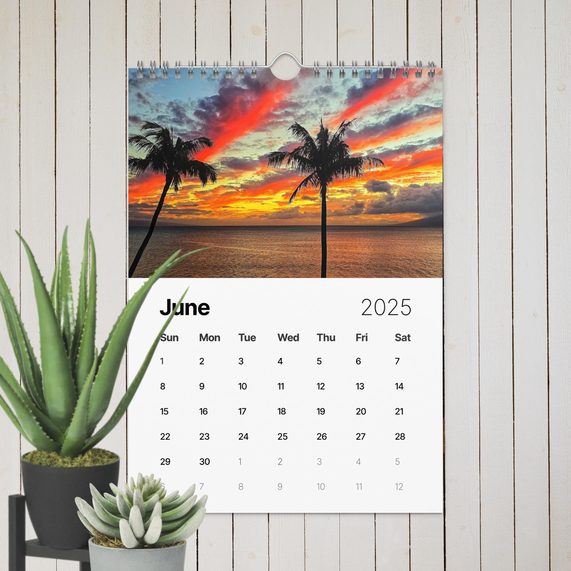 wall-calendar-(2025)-start-w-sun-8.26x11.69-front-67411f4e39a0c.jpg