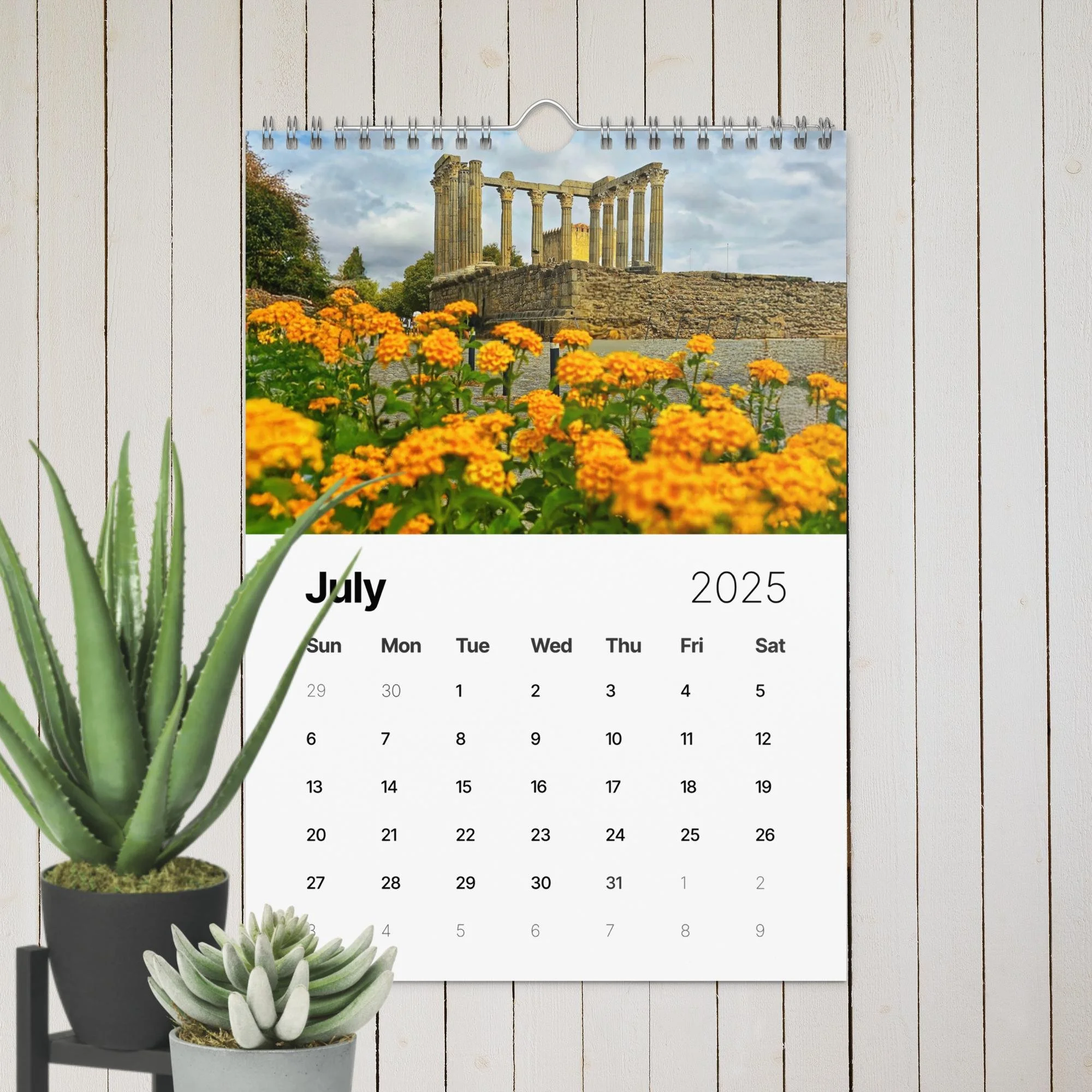 wall-calendar-(2025)-start-w-sun-8.26x11.69-front-67411f4e3aa04.jpg