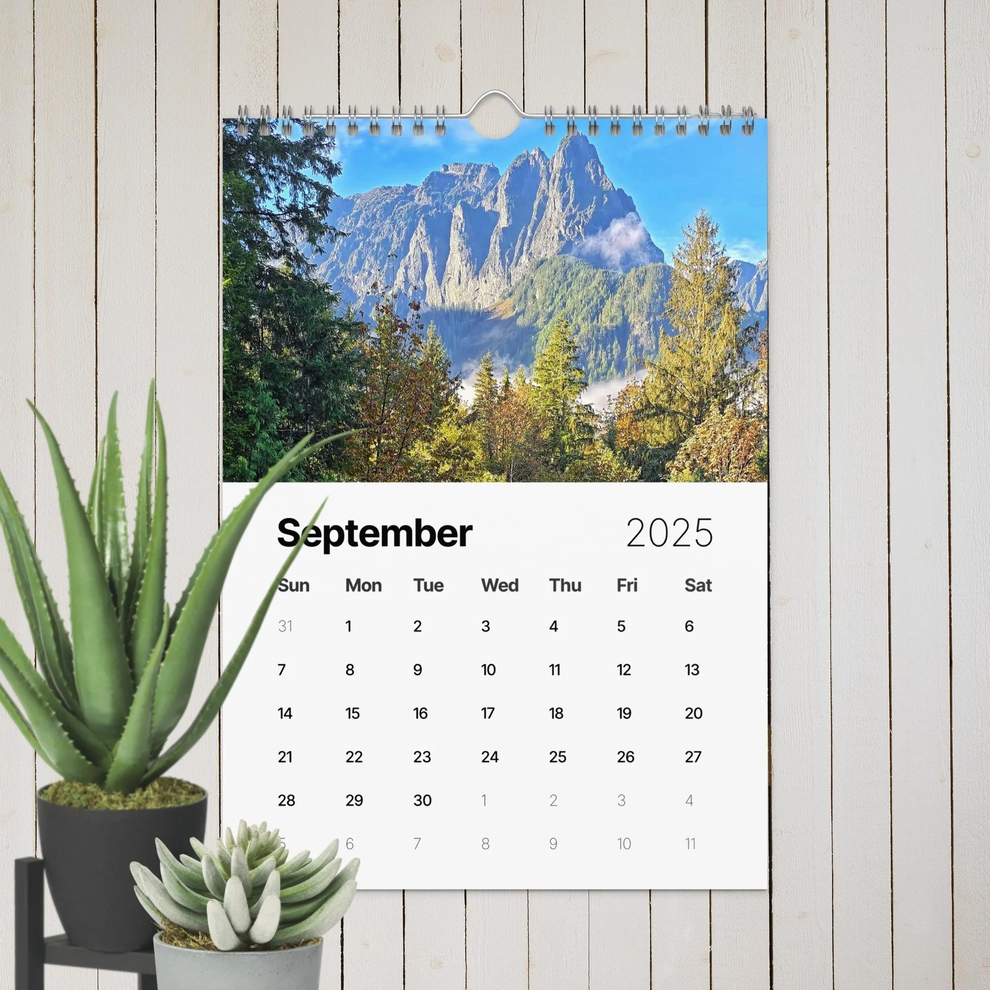 wall-calendar-(2025)-start-w-sun-8.26x11.69-front-67411f4e3c91c.jpg