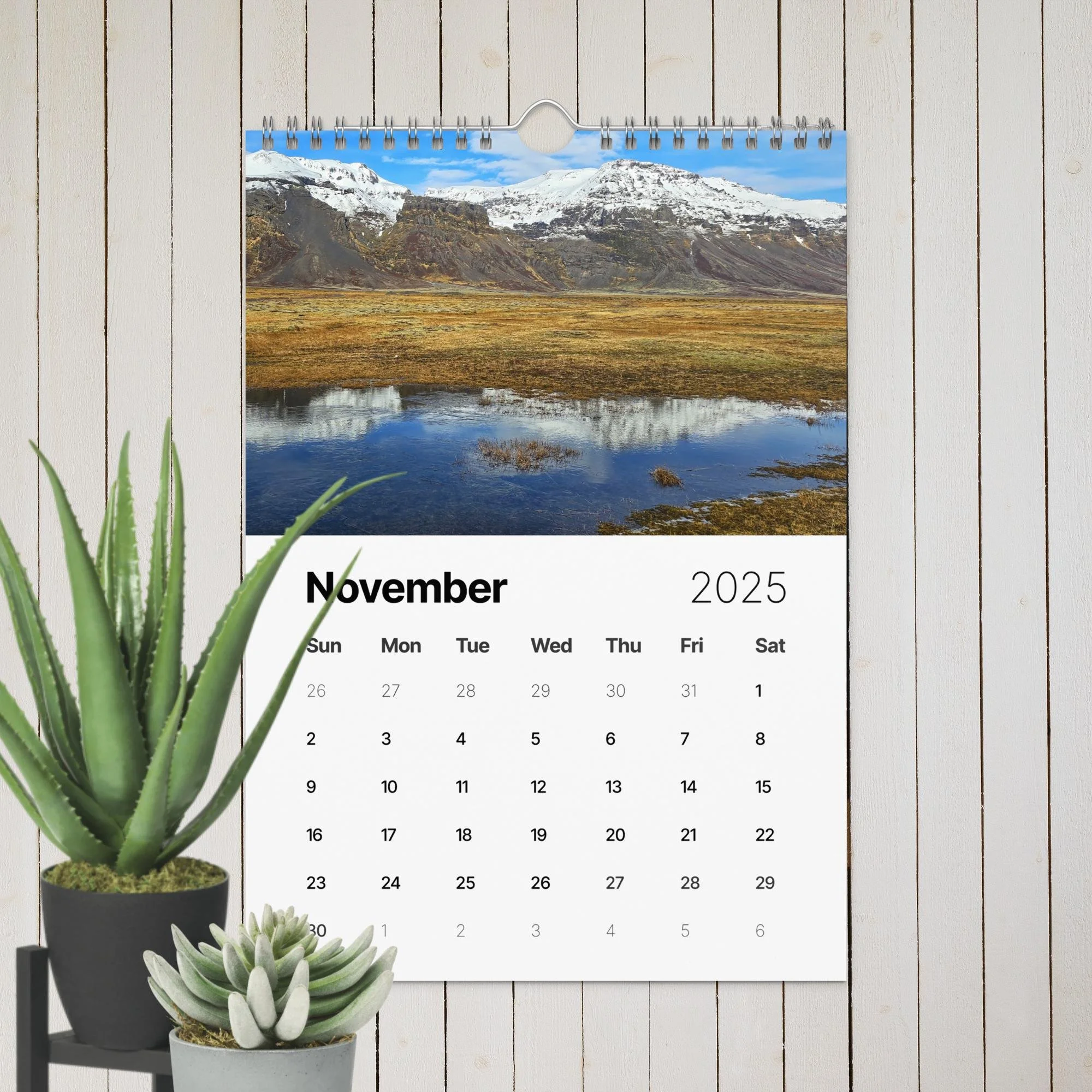 wall-calendar-(2025)-start-w-sun-8.26x11.69-front-67411f4e3e69f.jpg