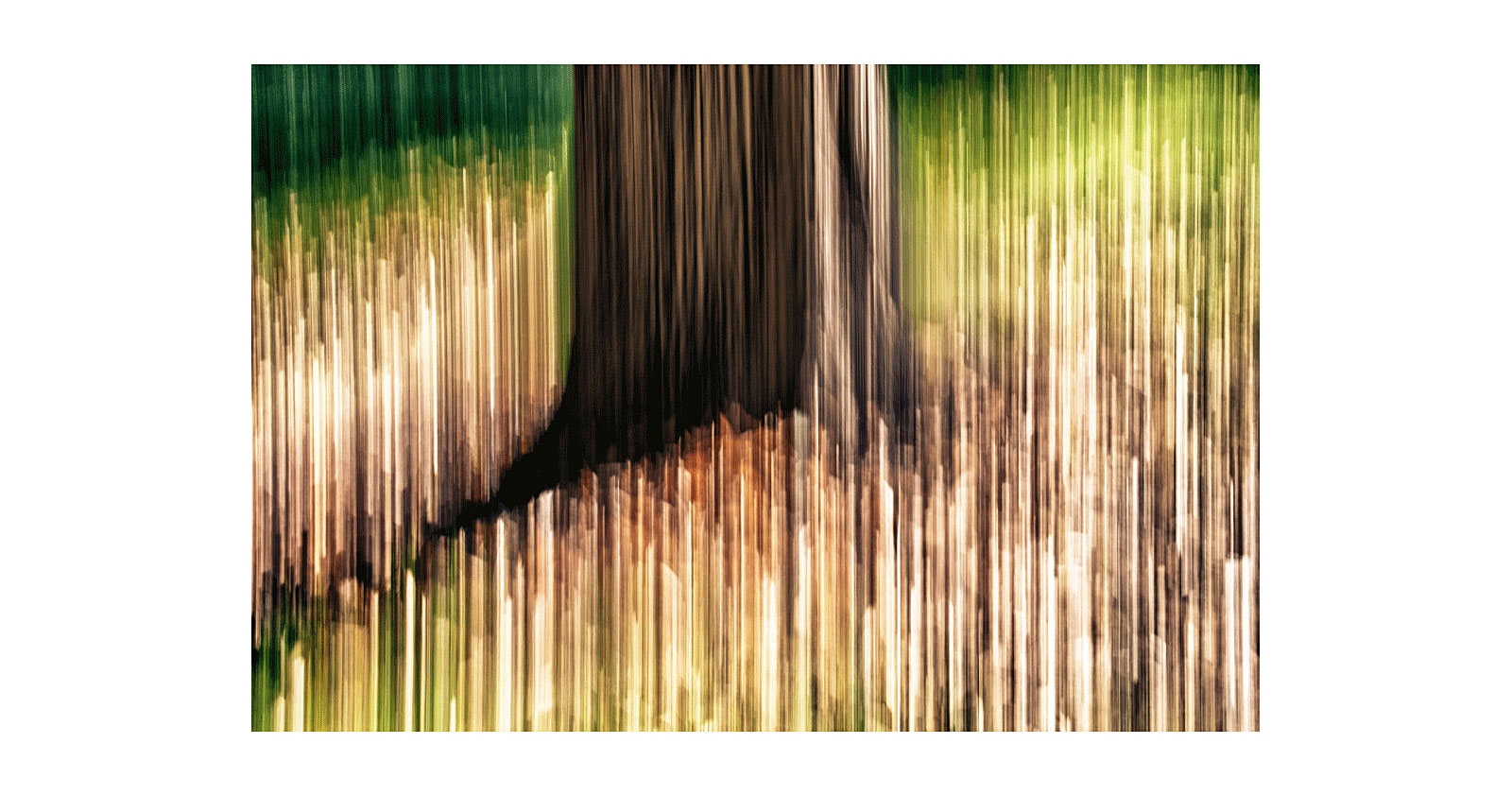 port2_0011_Layer-1-copy-3.jpg