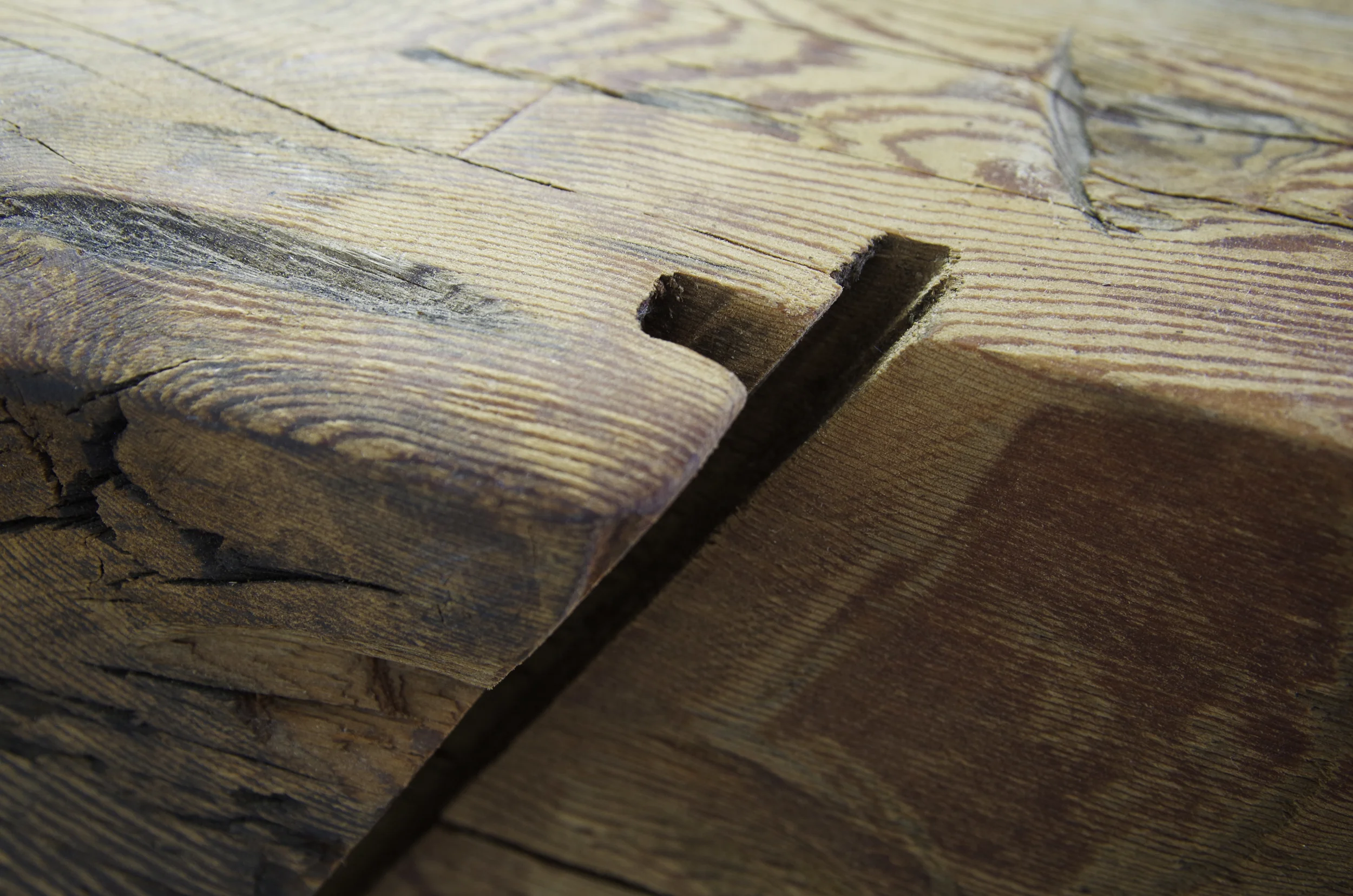 bigbench-4.jpg