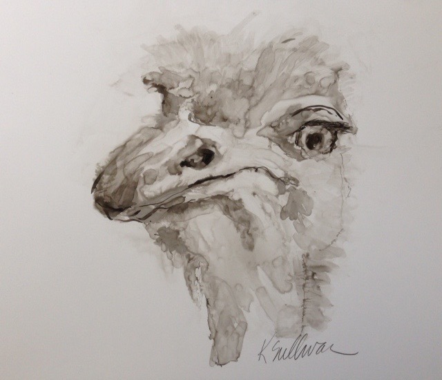 ostrich, ink 12x9.jpg