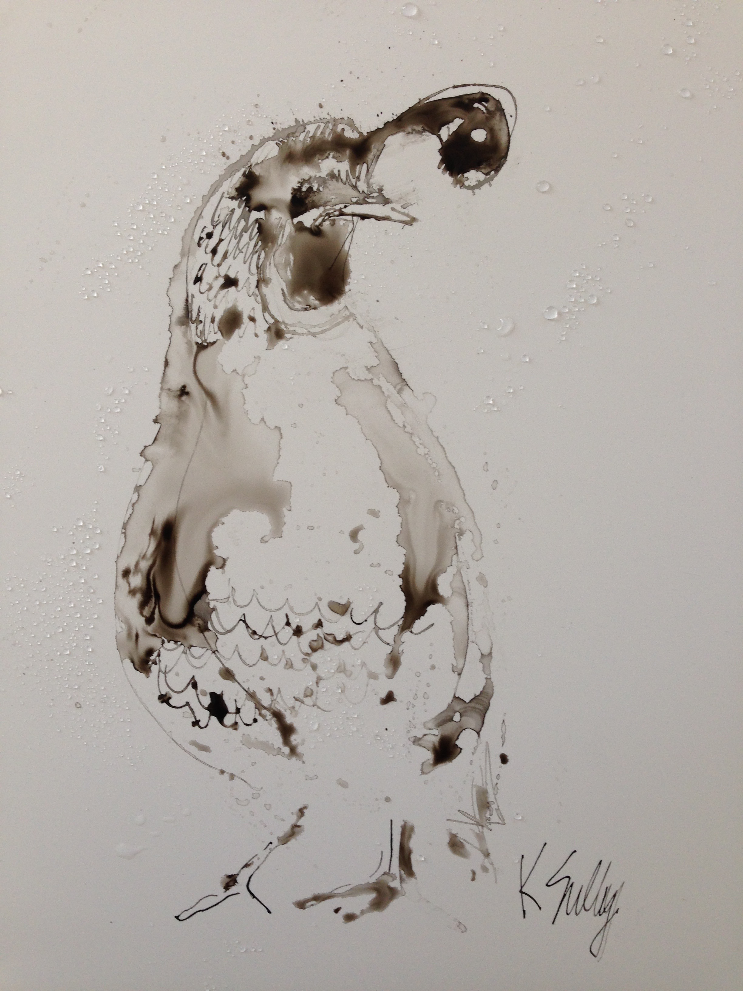 quail, ink 12x9.jpg