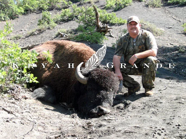 Buffalo