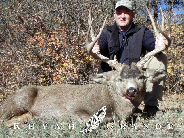 Mule Deer 190