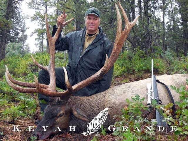 360 Elk