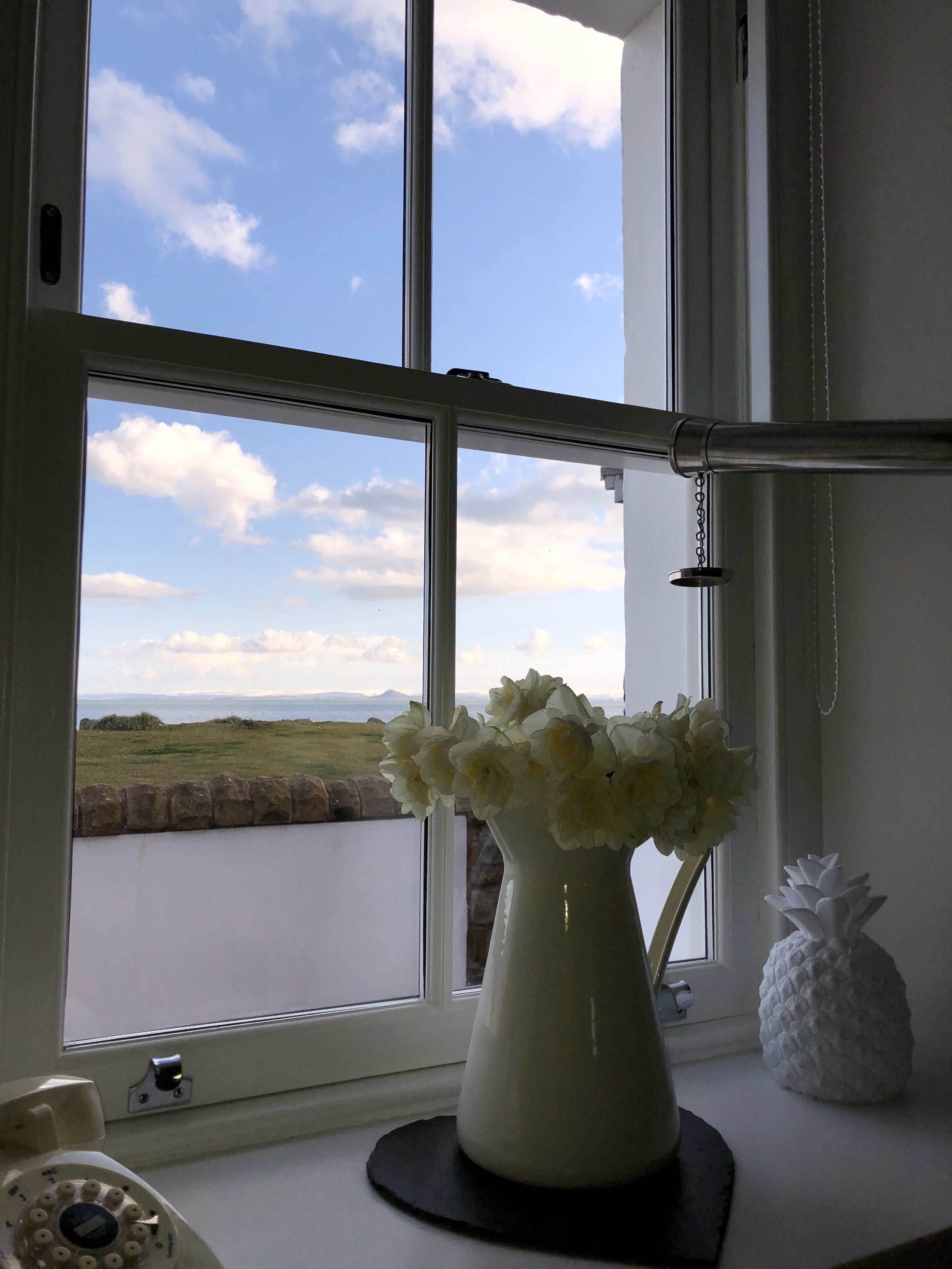 LIVING ROOM VIEW WITH DAFFS.jpg
