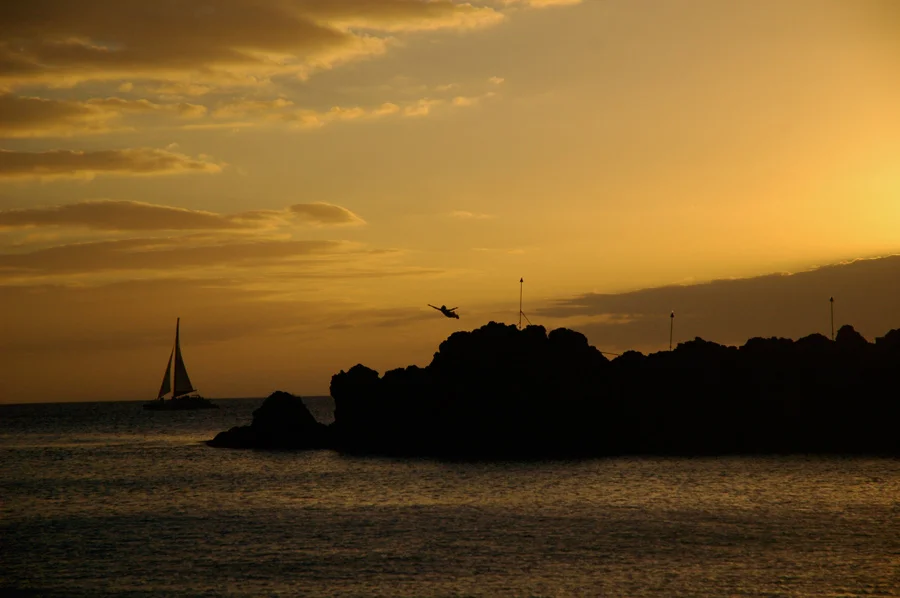 DSC_1368.jpg