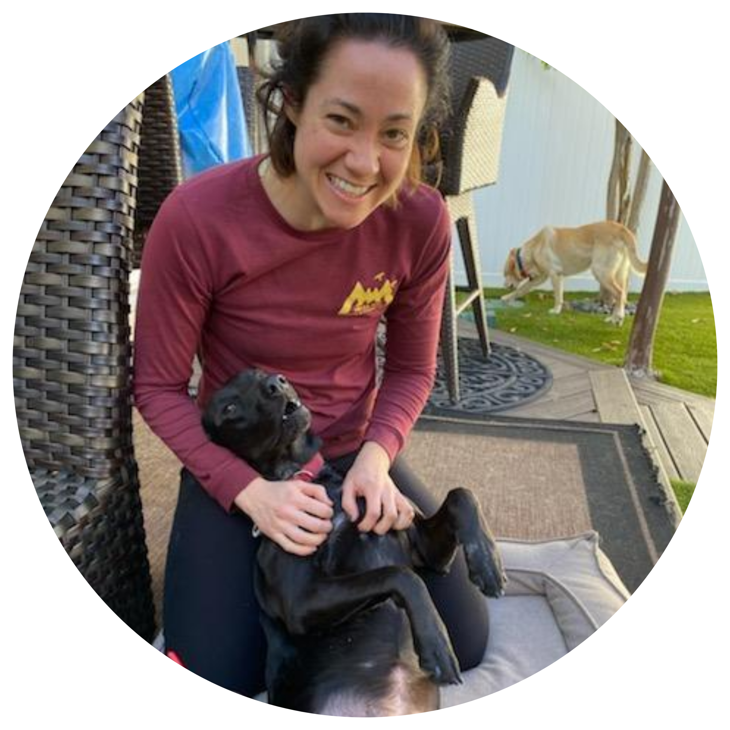 mobile dog claw clipping