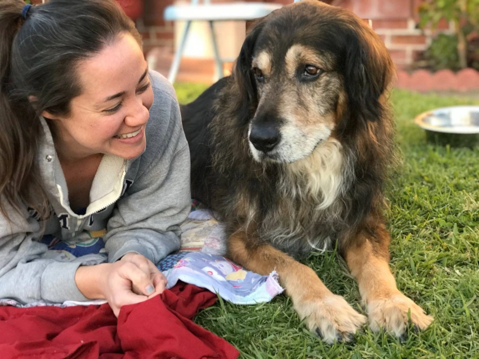 mobile dog claw clipping