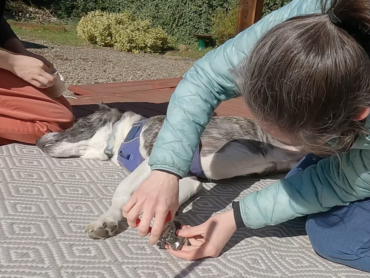 Screenshot (234).png