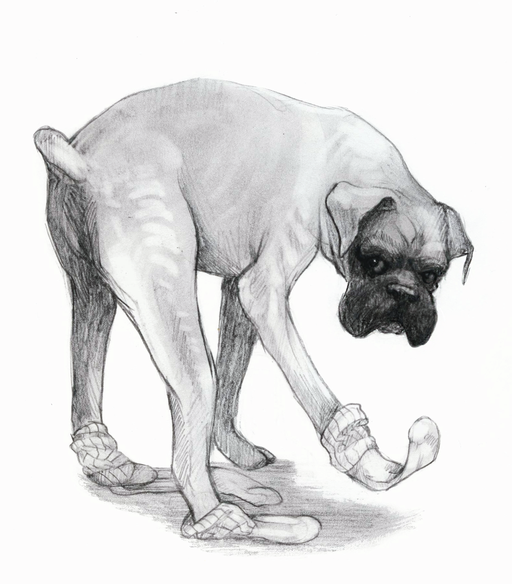 dorg-friday-8-28.png