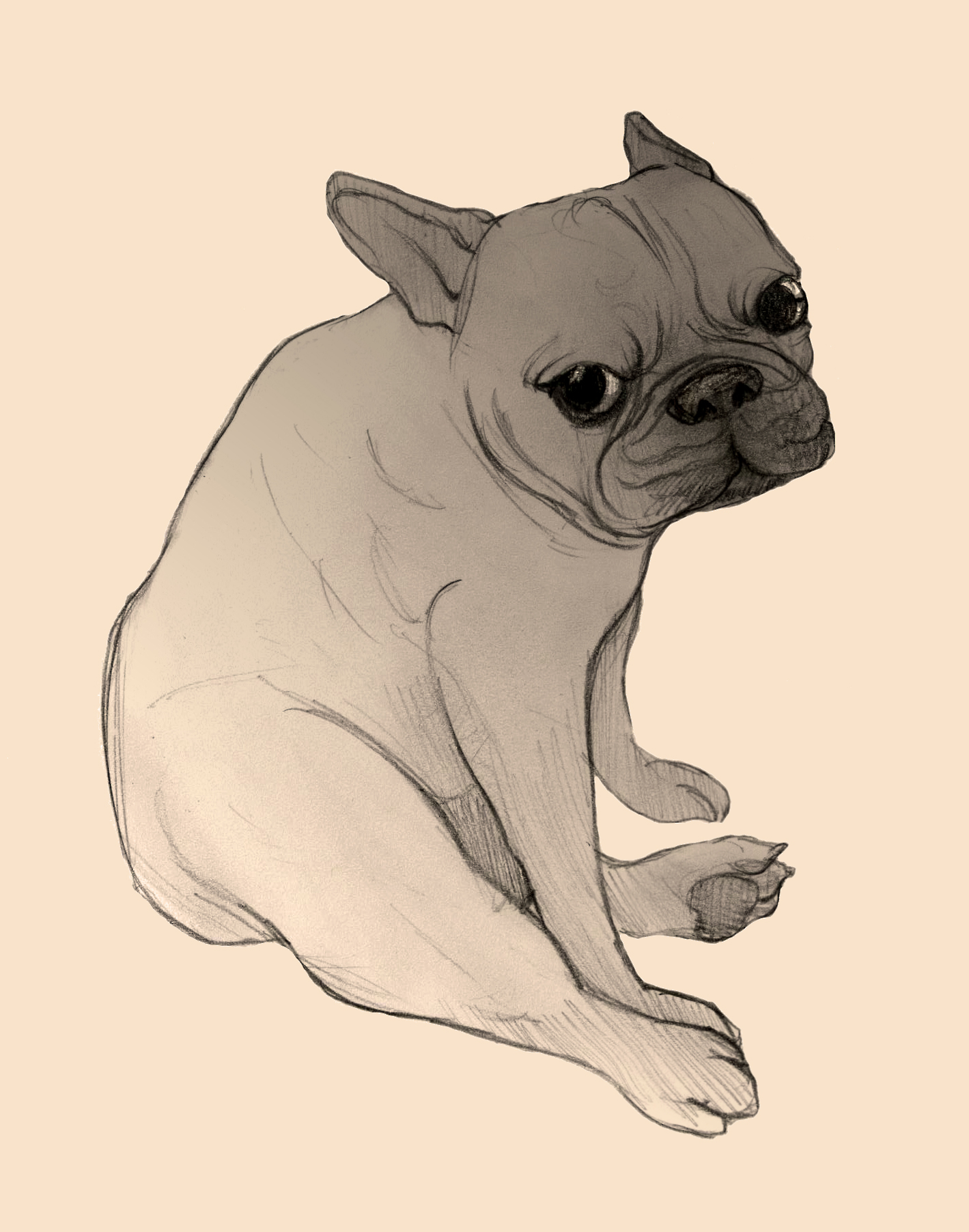 Image (599).png