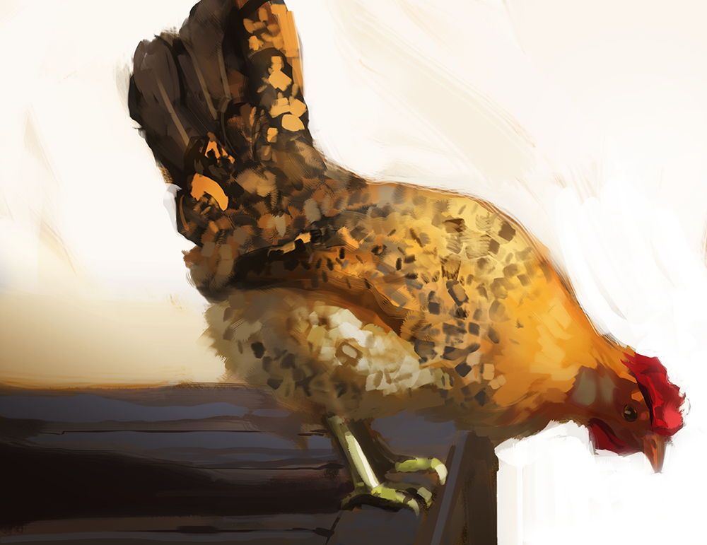 chicken+study.png