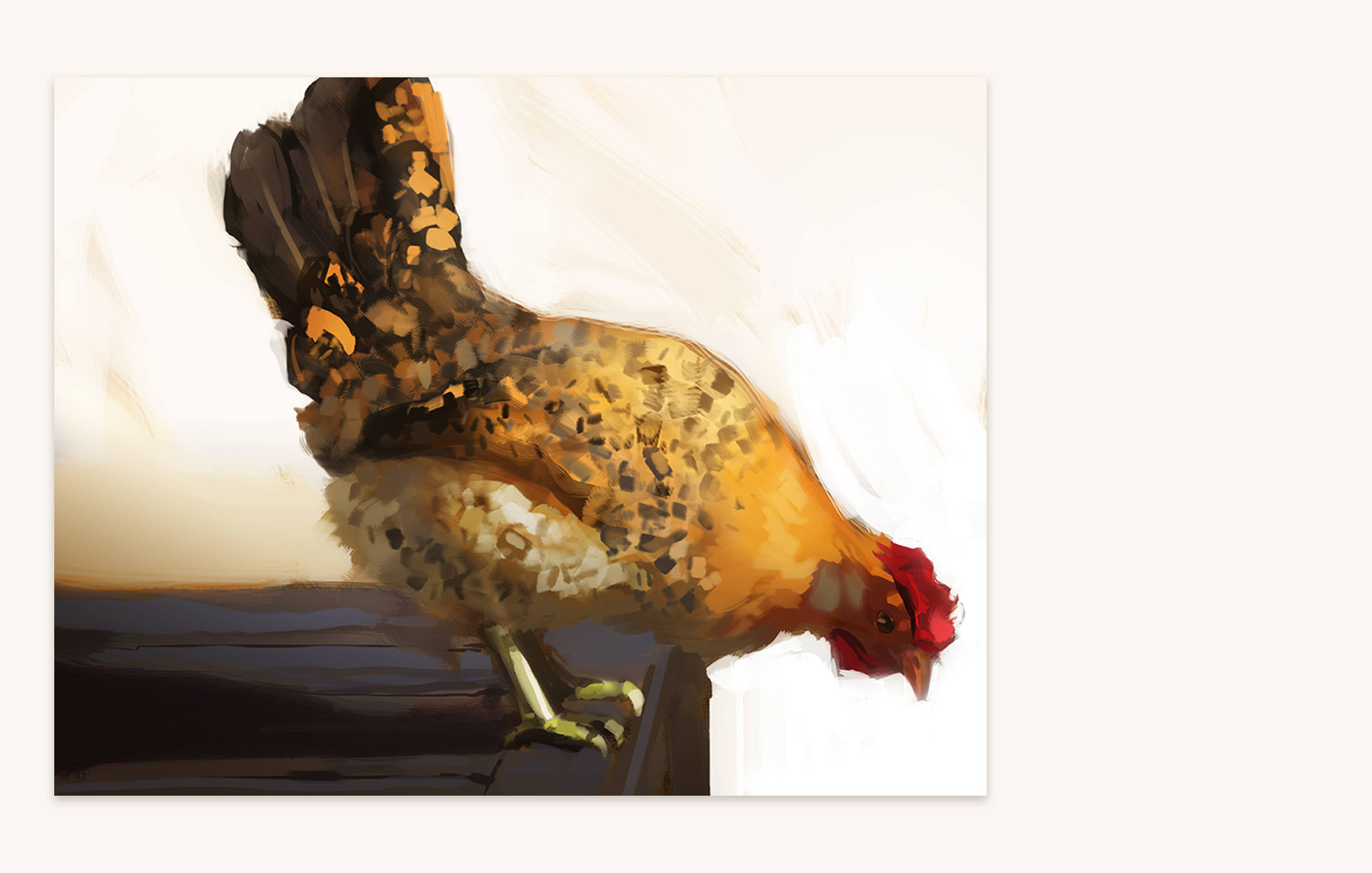 illustrations.png