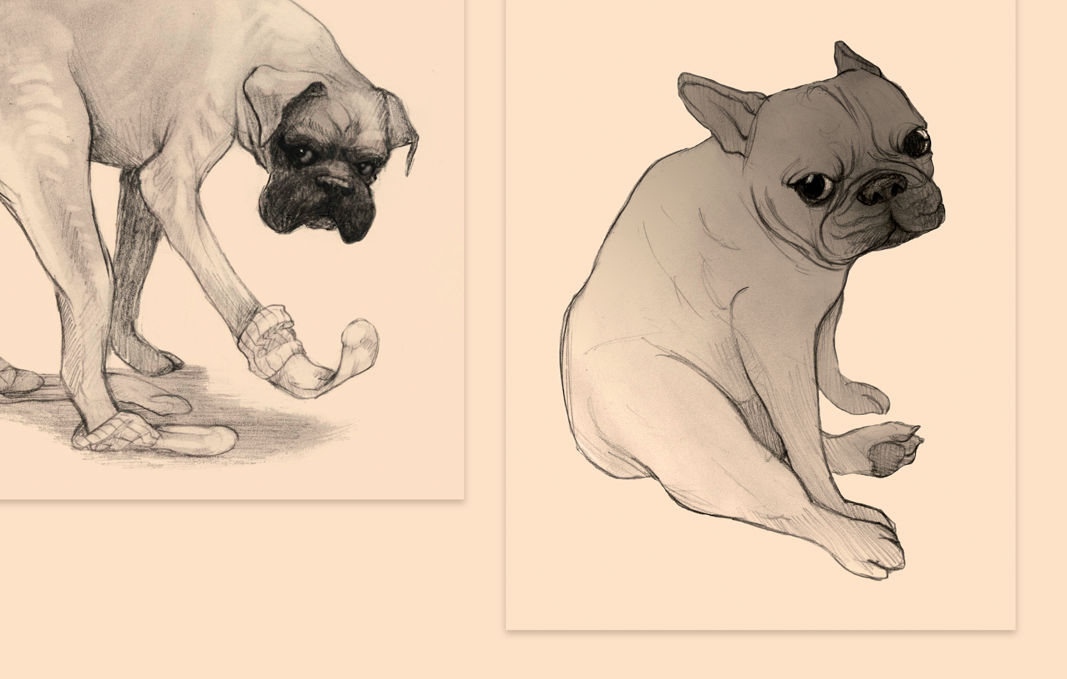 sketchbook.png
