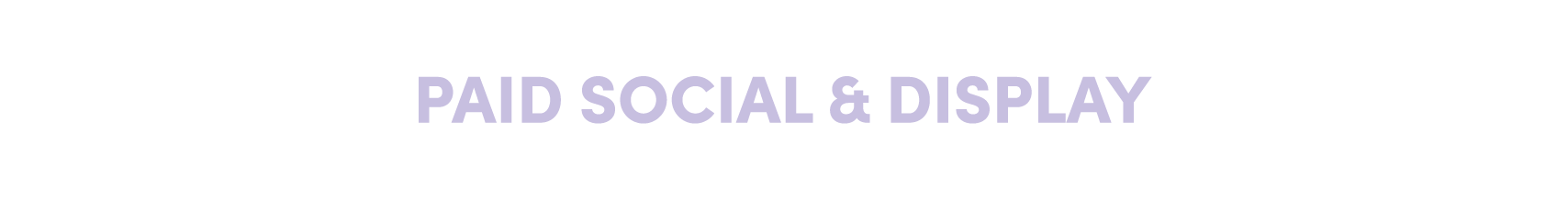 PaidSocialDisplay.png