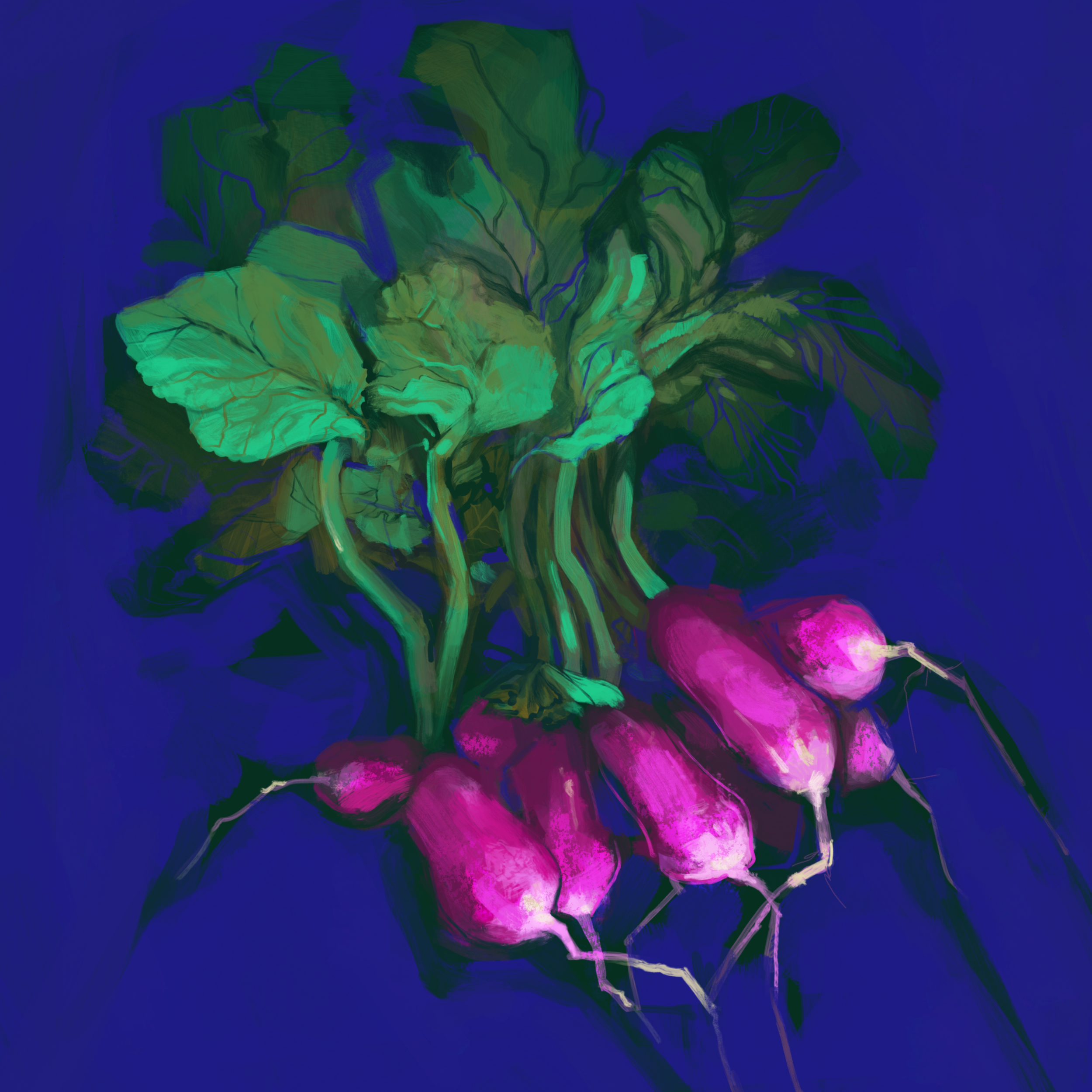 radishes_in_cobalt.PNG
