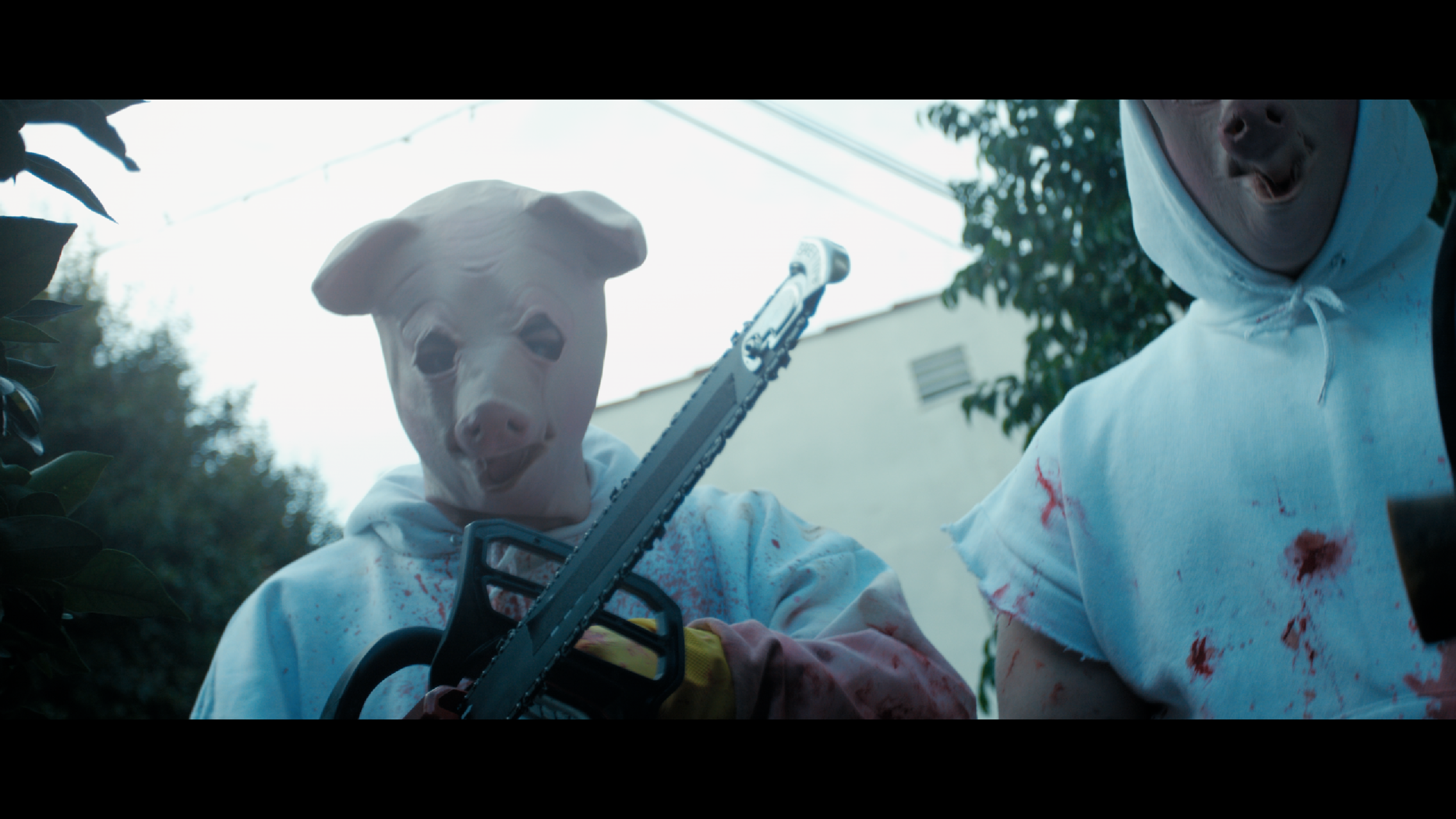 Screen Shot 2016-06-20 at 5.43.52 PM.png