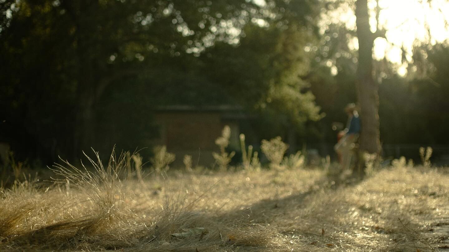 &ldquo;Millennial Nightmare&rdquo; - Ian Kieffer

Dir. by @ianmccambridgekieffer 
DP -👋🏻 
Editor - @tyler.winther 

Alexa Classic EV w/ 
35mm T1.3 Zeiss Super Speed
@arri