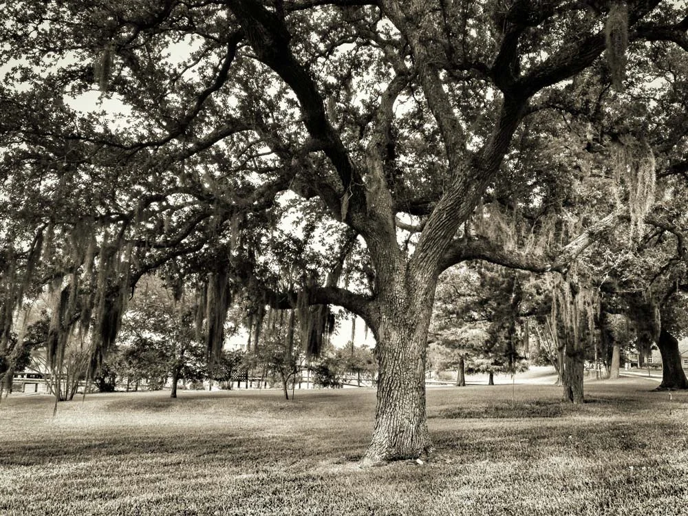 Shell Beach Dr, Lake Charles