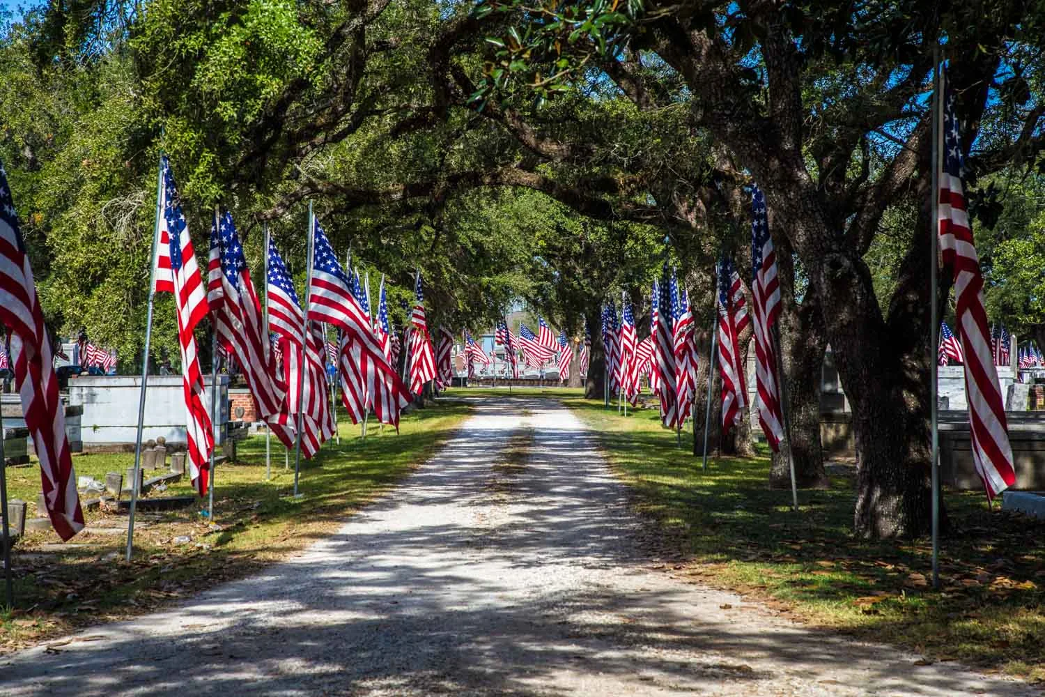 Avenue of Flags - Orange Grove Cemetery, Lake Charles LA
