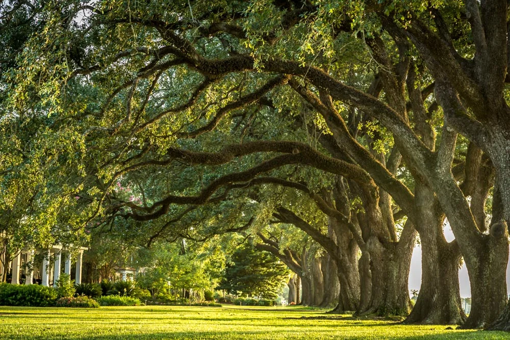 Shell Beach Dr., Lake Charles, LA