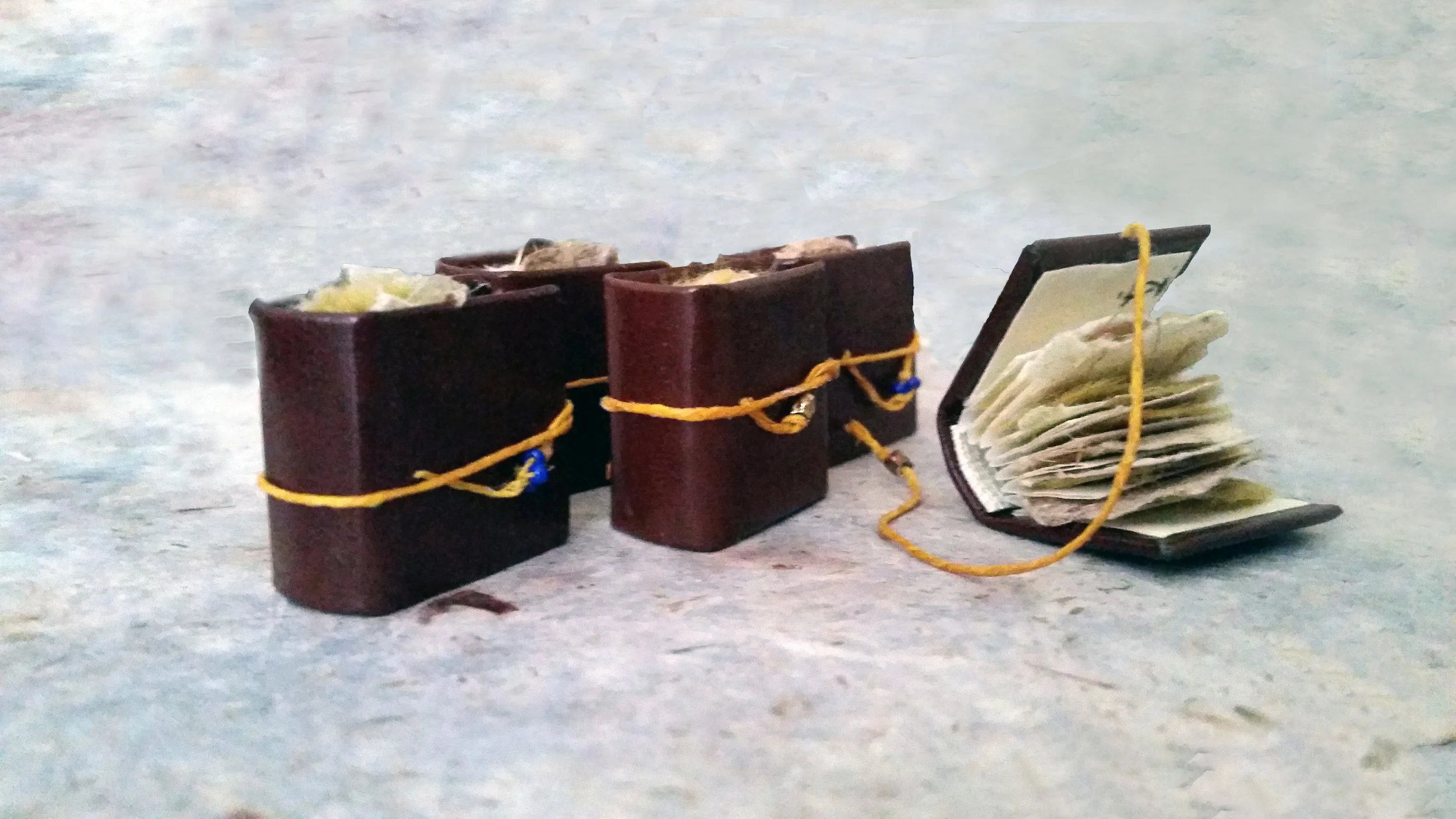 Mini Paper Specimens Book