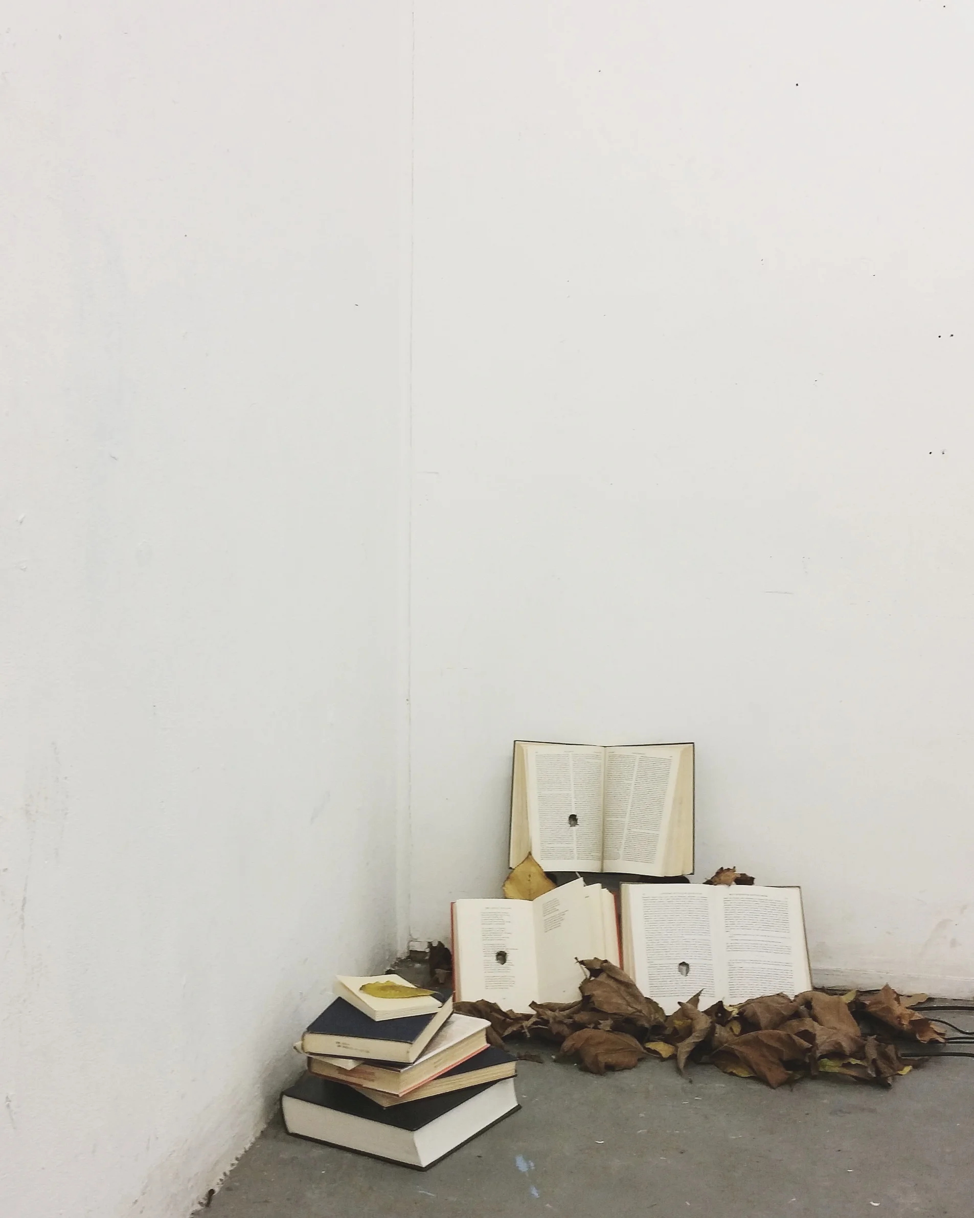 Les Feuilles Mortes, Livres Mortes