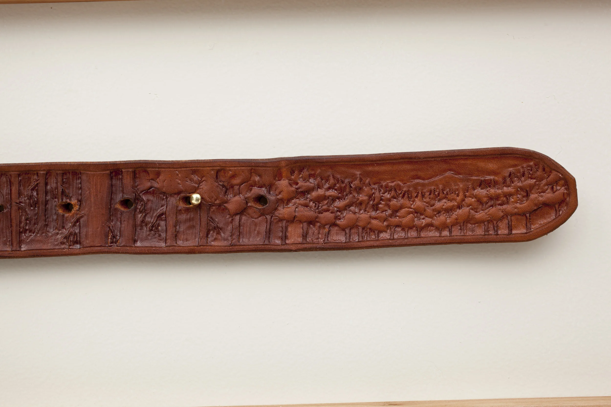 Shelby Davis IMG_2909.JPG