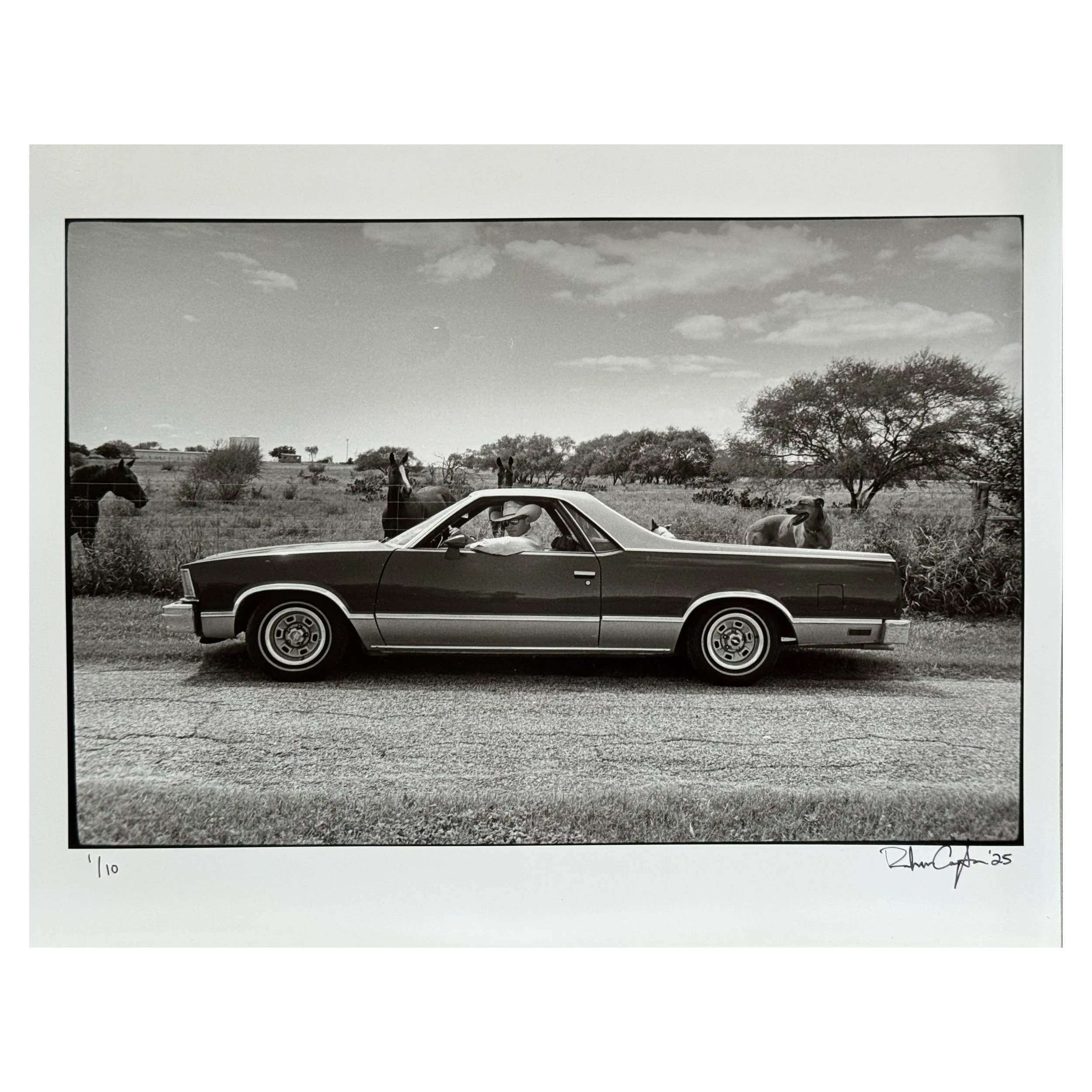 Feeding in the Caballero | 11x14" Darkroom Print
