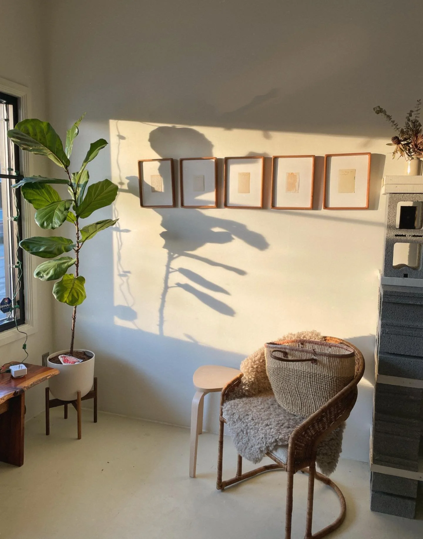 Back from winter hibernation! Studio will be open to the public Fridays 10-1 &amp; Saturdays 11-4 🖤