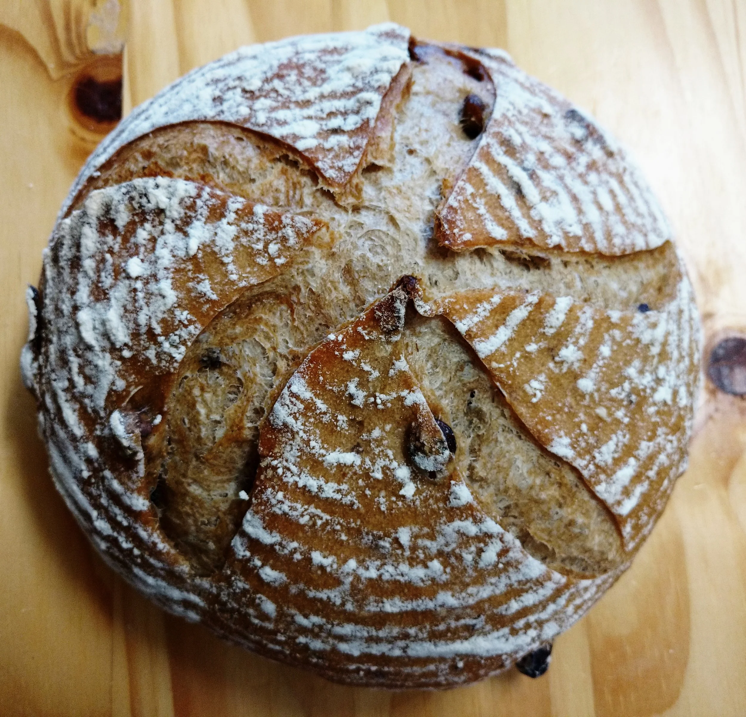 IMG_20160829_085744cranpecan.jpg