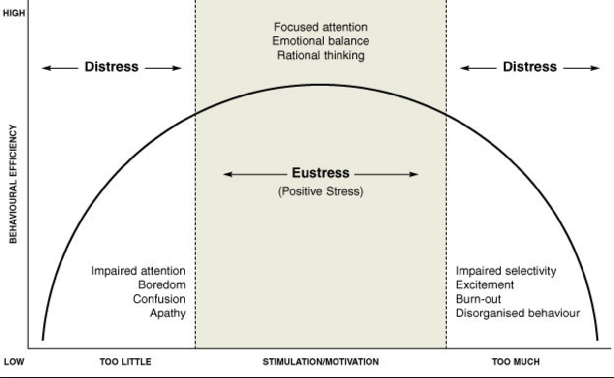 Focused attention. Стресс эустресс и дистресс. График стресс дистресс. Эустресс и дистресс схема. Различие эустресса и дистресса.