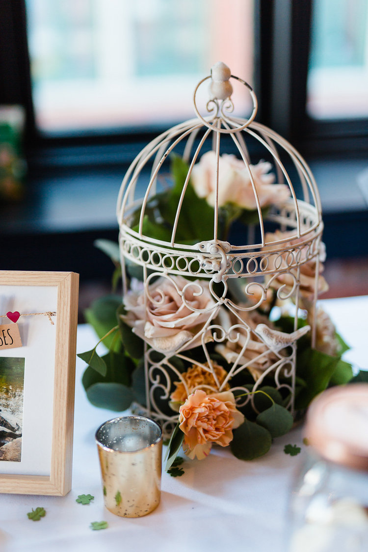 1028 Cage d’oiseaux / Birdcages 2