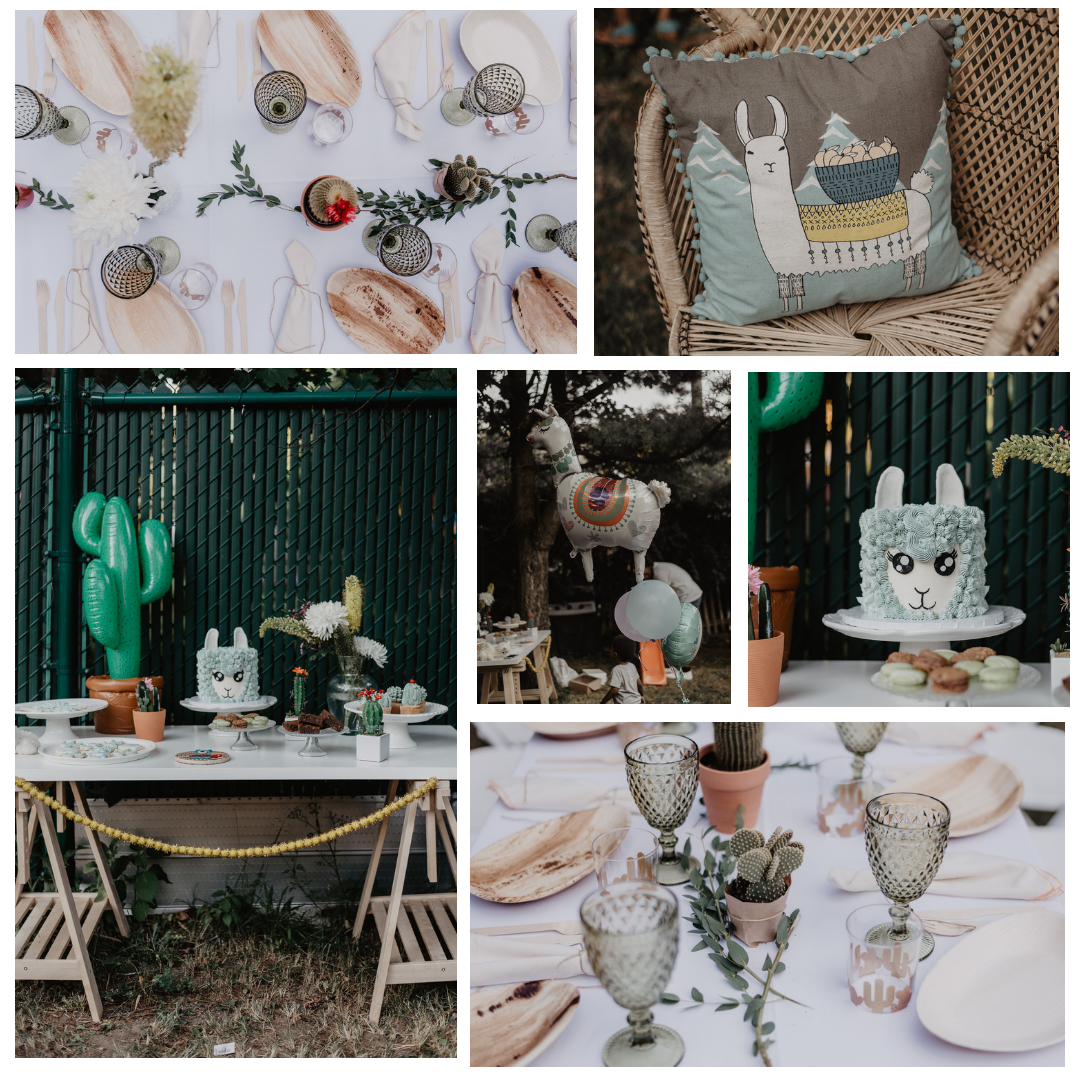 Llama Baby Shower Photographe/Photographer Julia Garcia-Prat Location / Rentals Le Coeur Bohème Gateau /Cake Bayard Gateaux