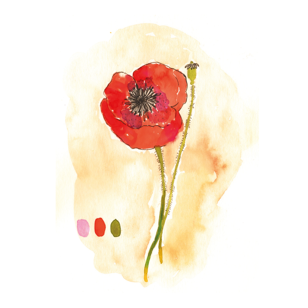 LG-2.png