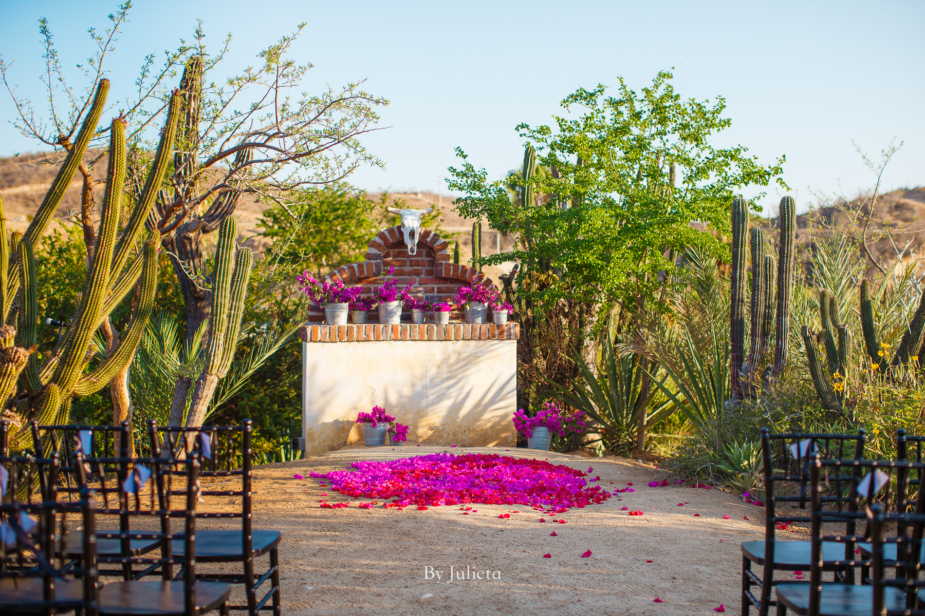 Floras Farm Cabo Wedding, Sory and Kane, Julieta Amezcua Photography. (162 of 364).jpg